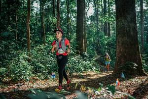 BIB: 
                            <button type="button" onclick="openModal(26129517)" class="btn btn-primary btn-sm float-right btn-popup" data-toggle="modal" data-target=".modal-high-quality">
                        <i class="fas fa-shopping-cart"></i> Add to Cart
                    </button>
                                            <button type="button" onclick="isThisMe(26129517, true)" class="btn btn-success btn-sm float-right btn-popup btn-isme hidden" data-toggle="tooltip" data-placement="bottom" title="นี่คือรูปของคุณใช่ไหม คลิกที่นี่เพื่อเอาเข้าอัลบั้ม">
                        <i class="fas fa-plus"></i> Add to album
                    </button>
                    <button type="button" onclick="isThisMe(26129517, false)" class="btn btn-warning btn-sm float-right btn-popup btn-isnotme hidden">
                        <i class="fas fa-ban"></i> Remove from album
                    </button>